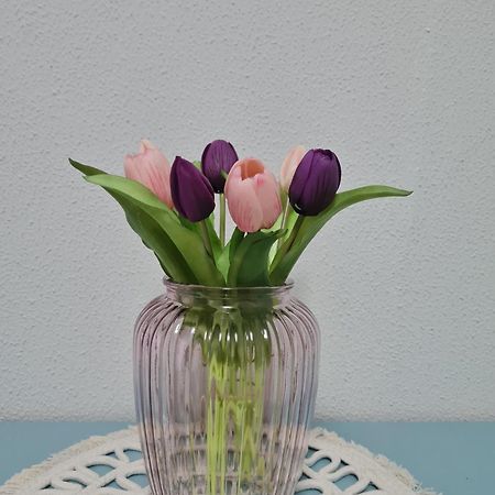 Casa Vacanza Il Tulipano Nichelino Esterno foto